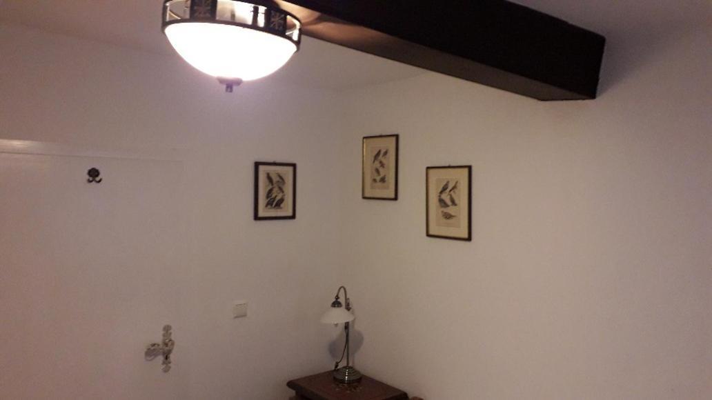 Hotel Feiler Muggendorf  Εξωτερικό φωτογραφία