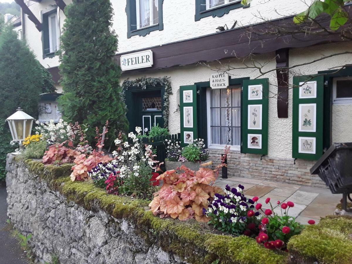 Hotel Feiler Muggendorf  Εξωτερικό φωτογραφία